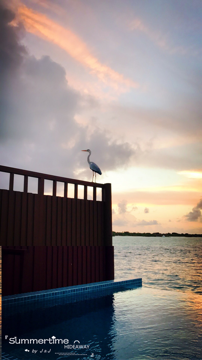 神仙珊瑚岛Island Hideaway